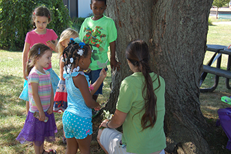 Children learning about a tree from a teacher