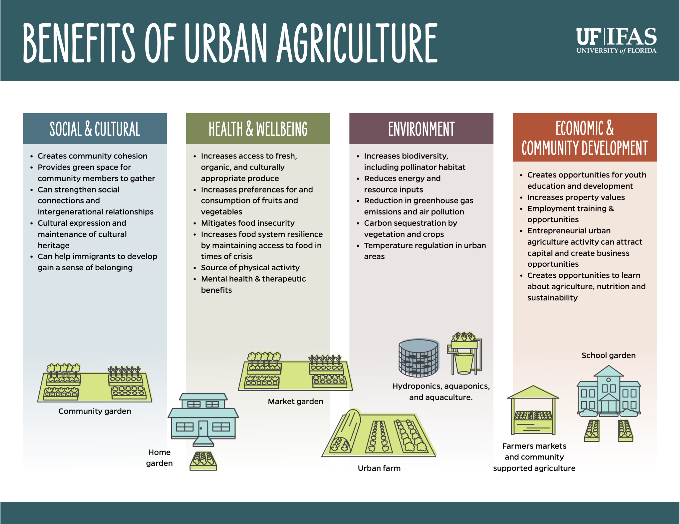 Causes And Importance Of Urban Agriculture Image To U