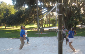 2012 picnic volley ball