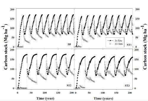model for loblolly pine plantation