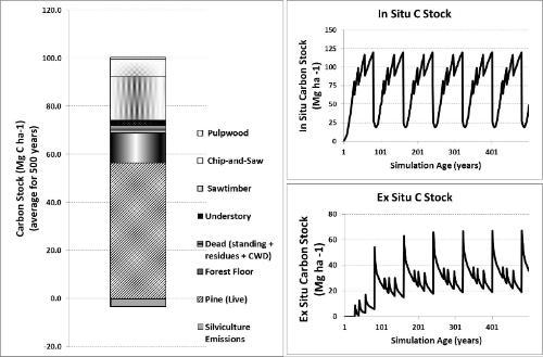 model for longleaf pine plantation