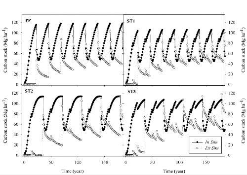model for slash pine plantation