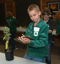 boy with clipboard, identifying a potted plant in the contest hall