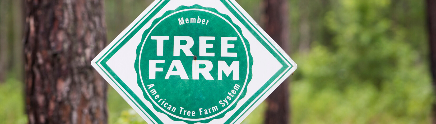 tree farm sign