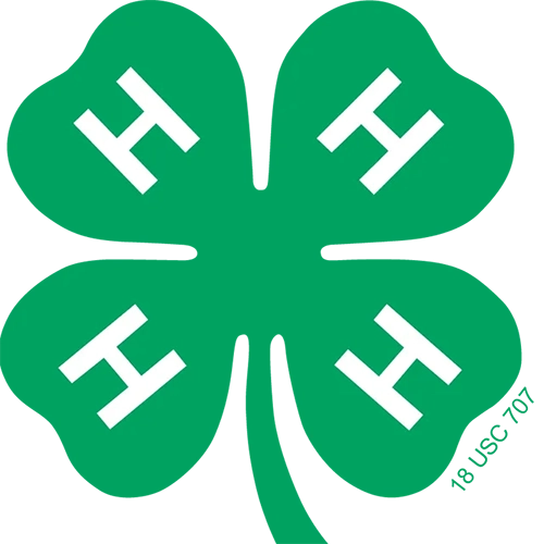 4-H logo
