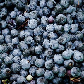 blueberries - close up