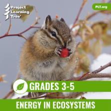 Image for Energy In Ecosystems eUnit