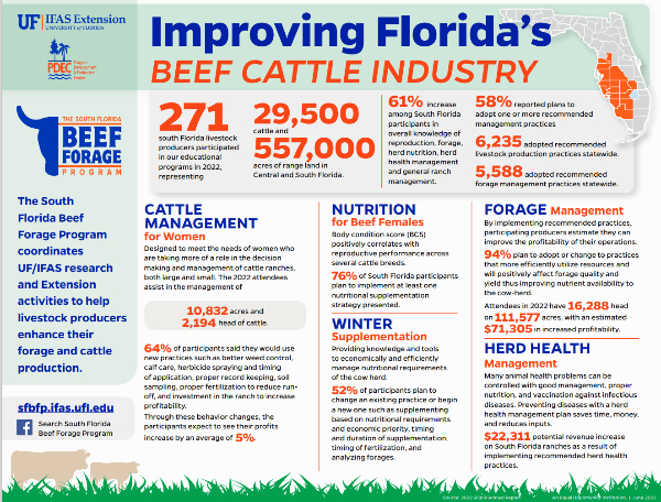 infographic with information about the beef cattle industry