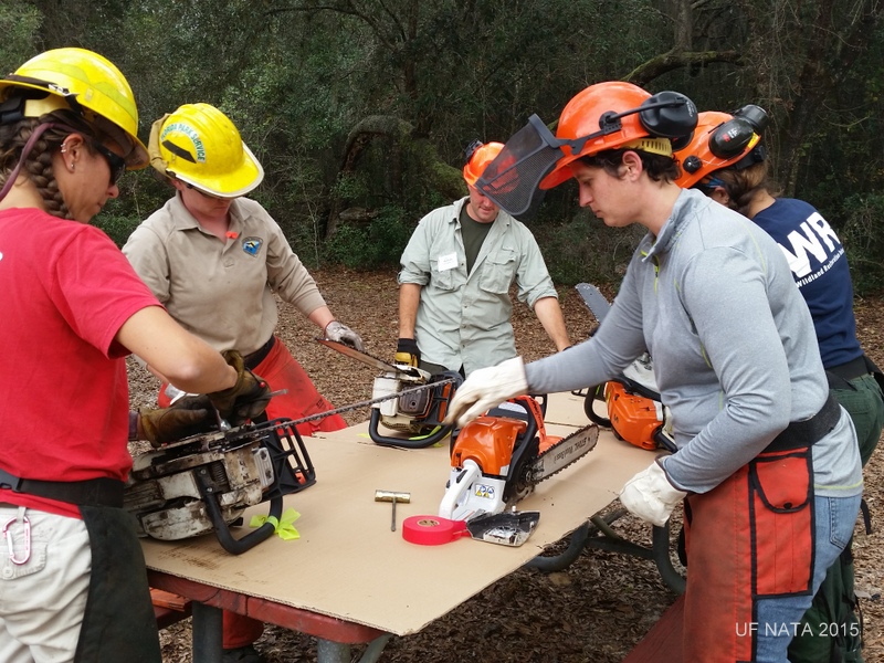 Students learning about chainsaw maintenance.